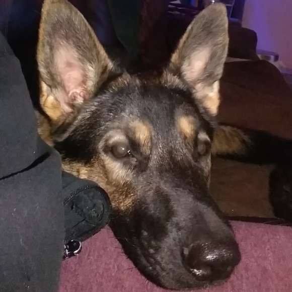 Meet your Posher, Caryn - Picture 1 of 1